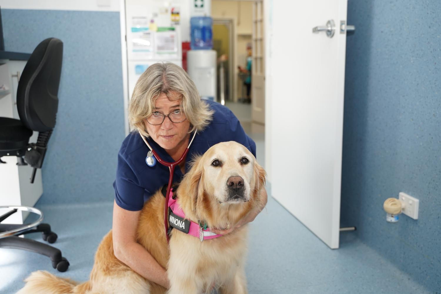 Dog being Examinated