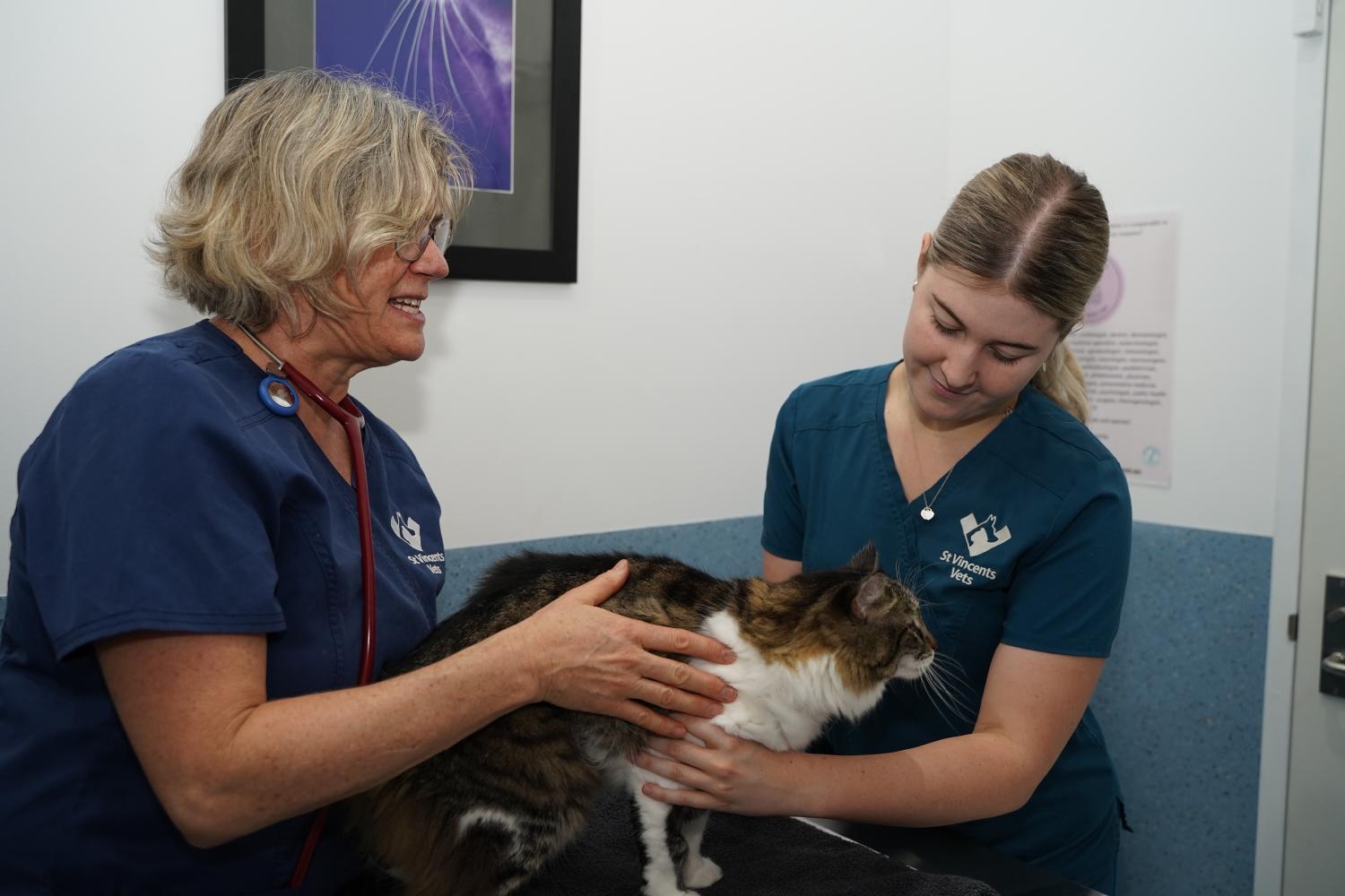 Patient being held