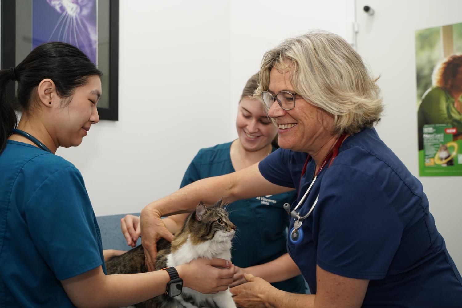 Clinical team with cat