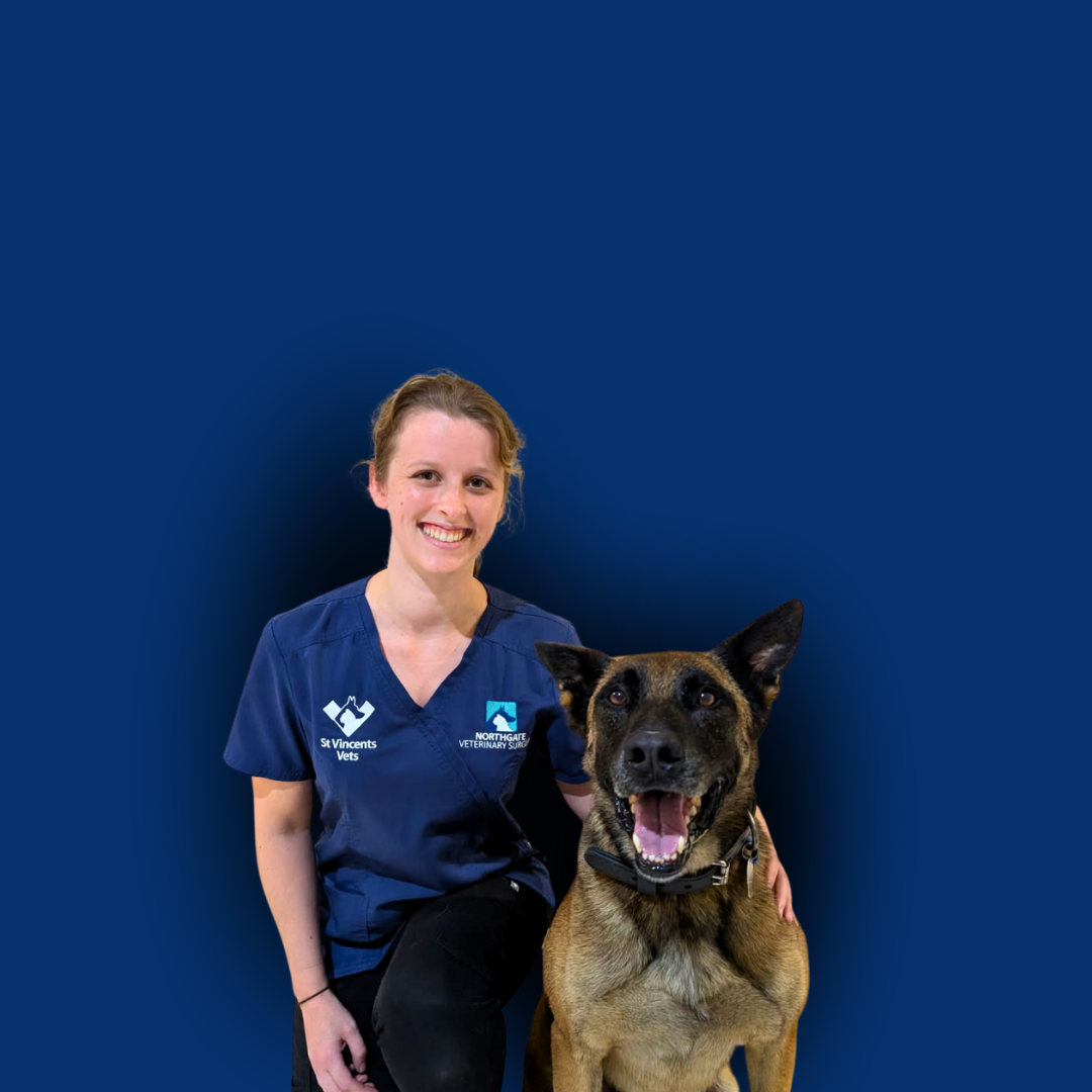 Dr Anya Keith